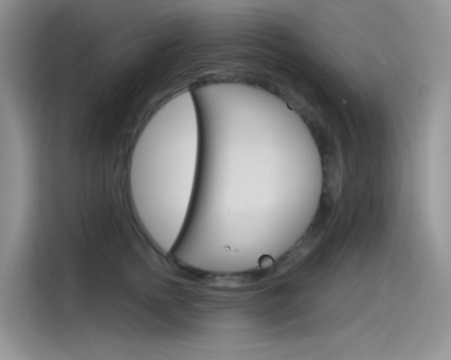 X0000115790758200911131026
