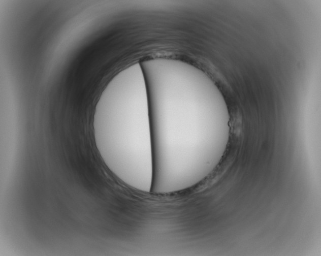 X0000115790763200911131026
