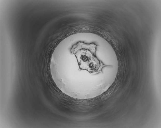 X0000115790769200911131026