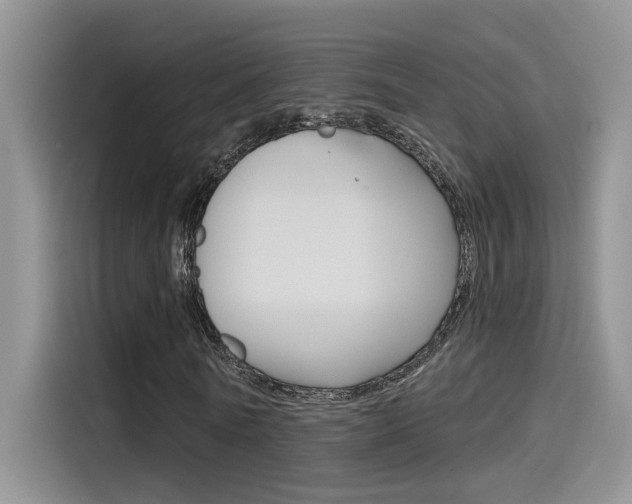 X0000115790770200911131026