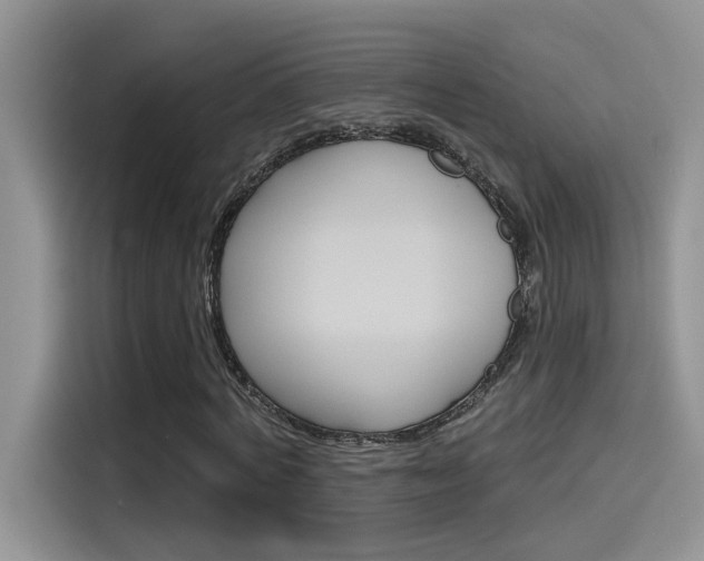 X0000115790772200911131026