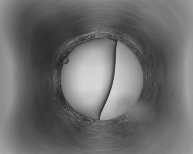X0000115790773200911131026