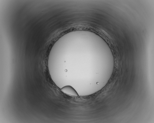 X0000115790774200911131025