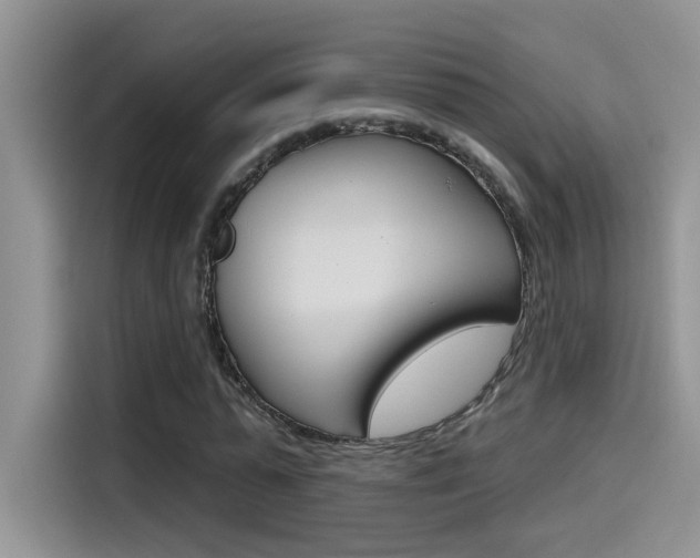 X0000115790775200911131025