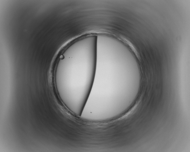 X0000115790779200911131025