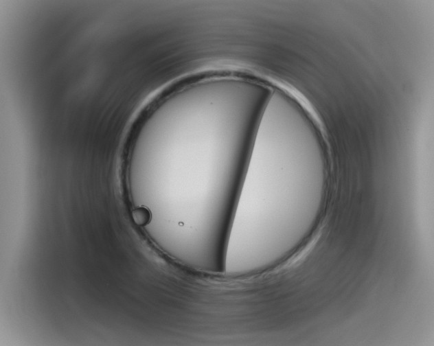 X0000115790783200911131025
