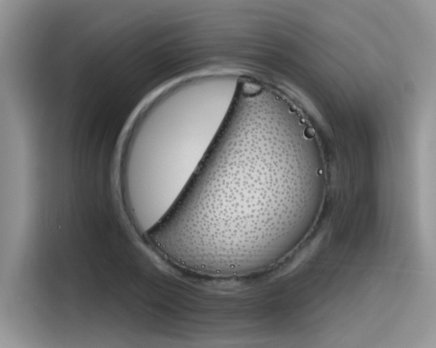 X0000115790784200911131025