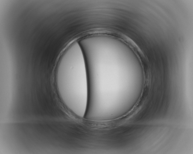 X0000115790786200911131025
