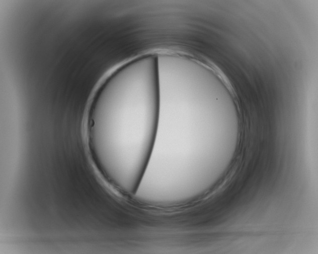 X0000115790795200911131025