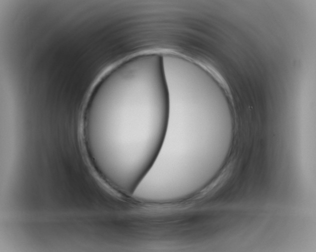 X0000115790797200911131025