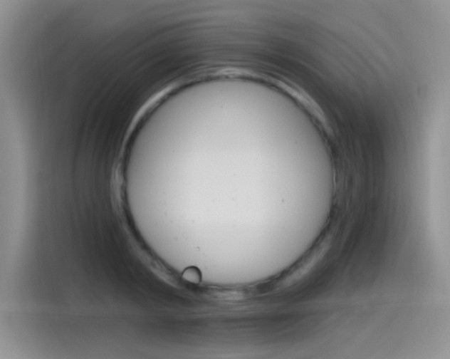 X0000115790798200911131025