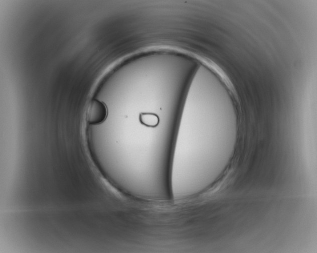 X0000115790799200911131025