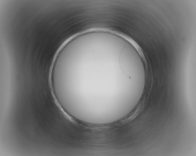X0000115790807200911131025