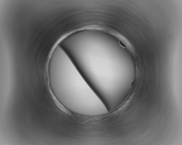 X0000115790808200911131025