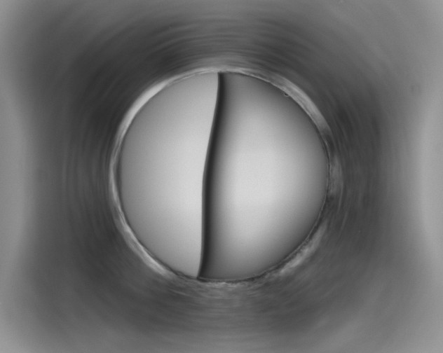 X0000115790812200911131025