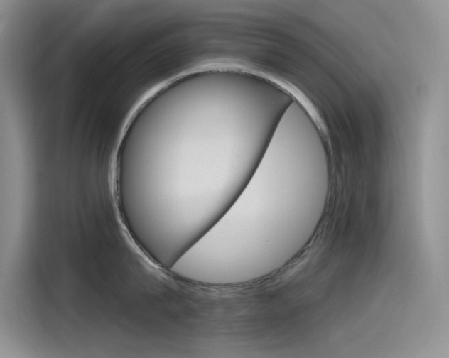 X0000115790815200911131025