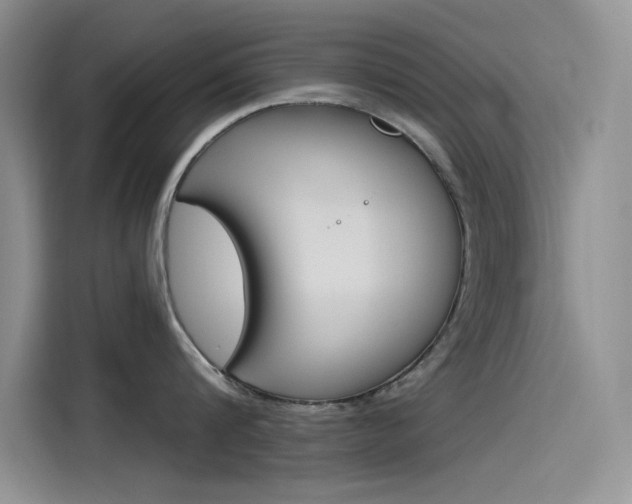 X0000115790816200911131025