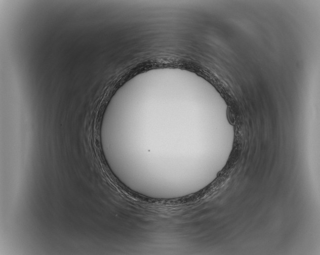 X0000115790817200911131024
