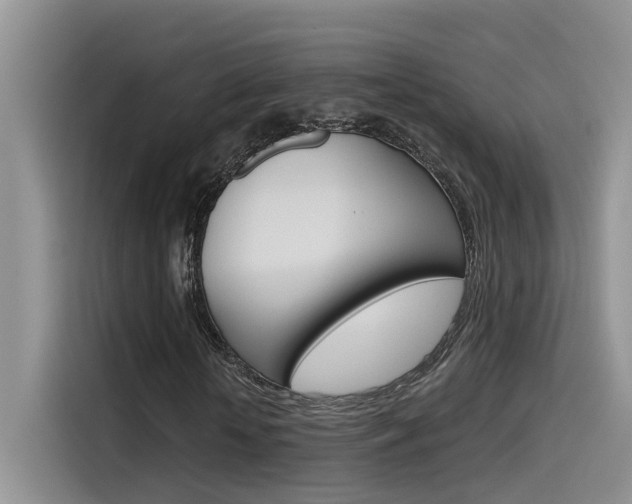 X0000115790818200911131024