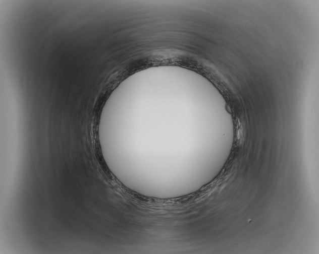 X0000115790819200911131024