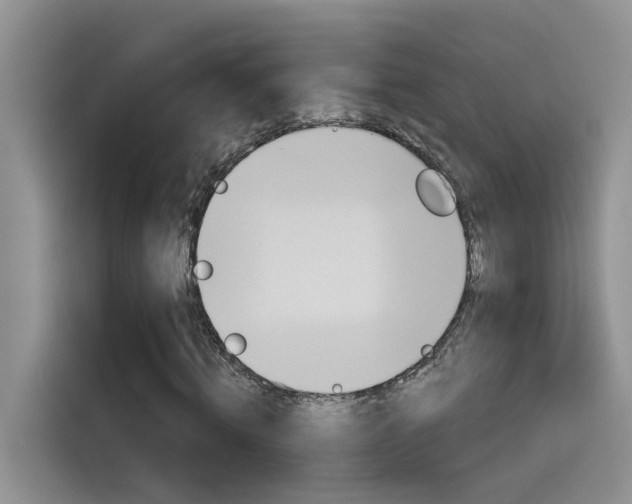 X0000115790820200911131024