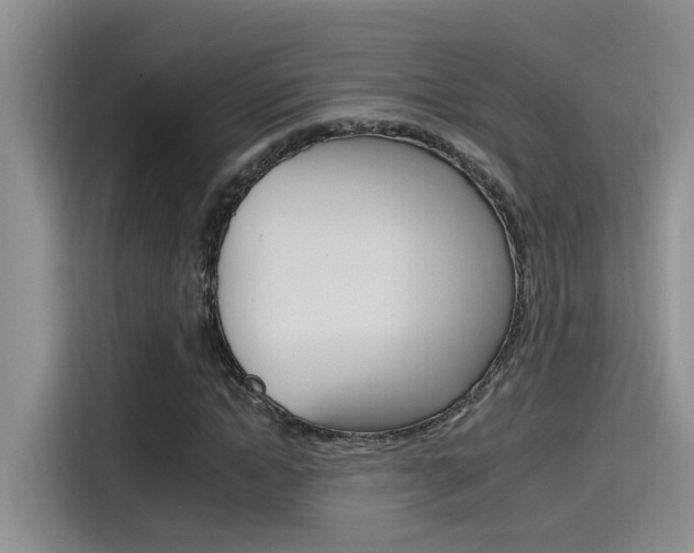X0000115790822200911131024