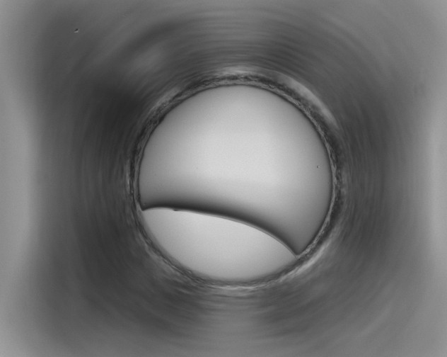 X0000115790825200911131024
