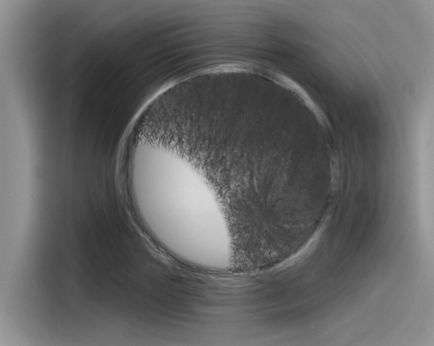 X0000115790827200911131024