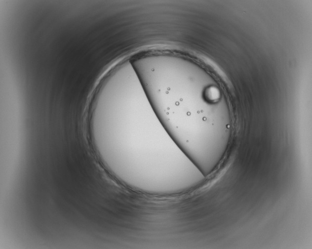 X0000115790829200911131024