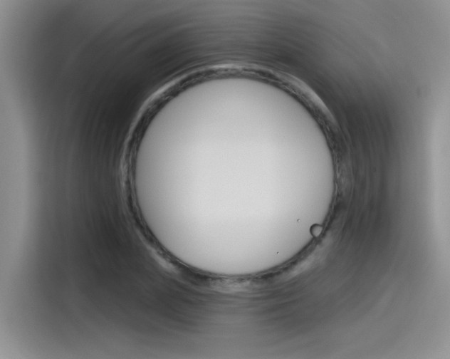 X0000115790831200911131025