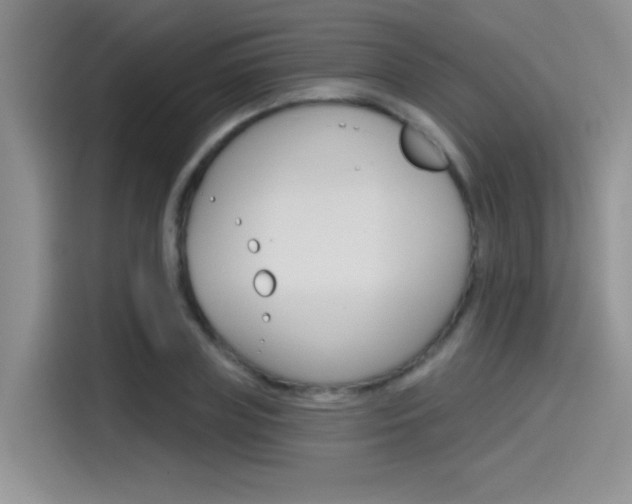 X0000115790835200911131025