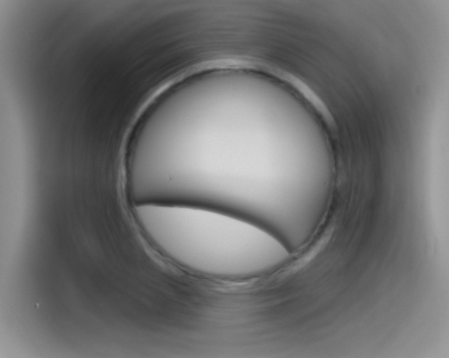 X0000115790837200911131025