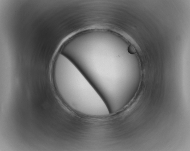 X0000115790838200911131025