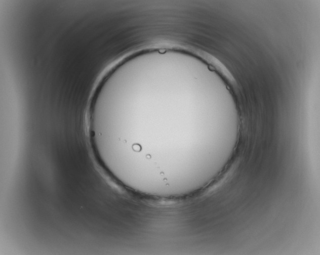 X0000115790839200911131025