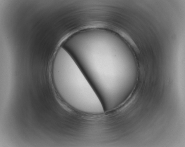 X0000115790842200911131025