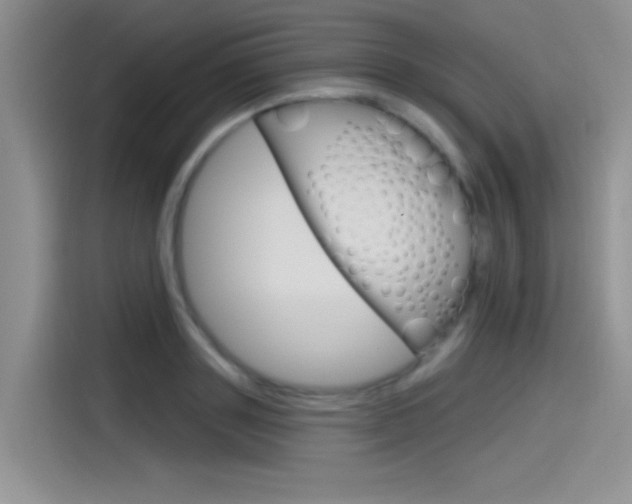 X0000115790843200911131025