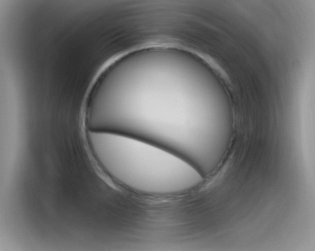 X0000115790846200911131025