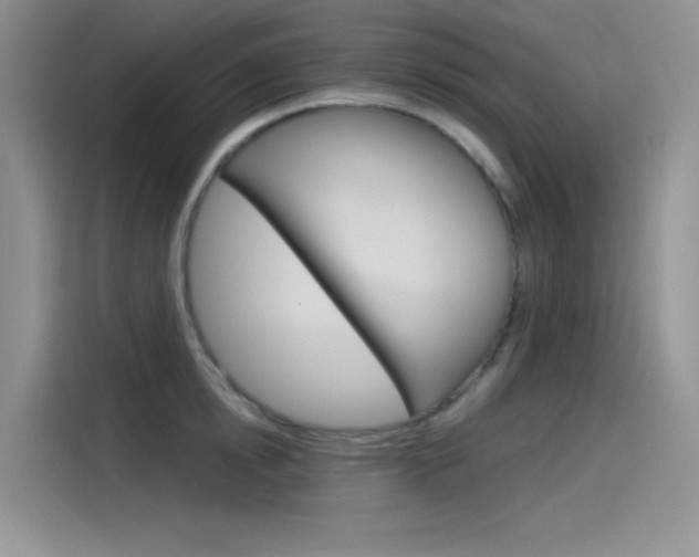 X0000115790854200911131025
