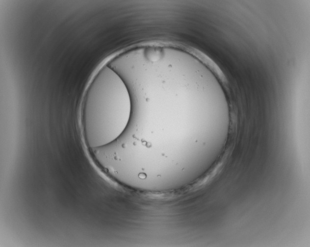 X0000115790855200911131025