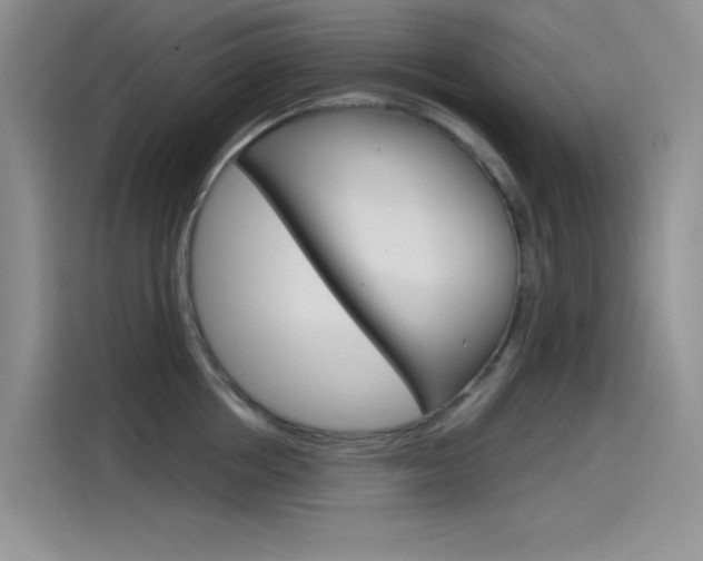 X0000115790858200911131025