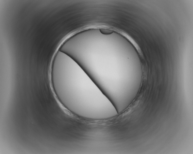 X0000115790861200911131025