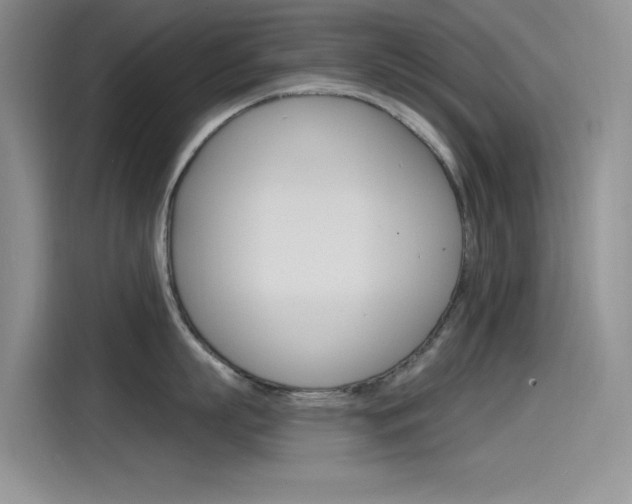 X0000115790863200911131025