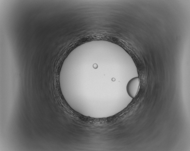 X0000115790865200911131024