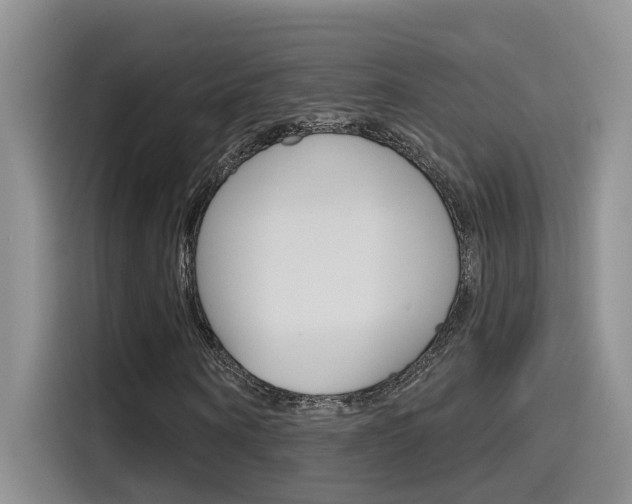 X0000115790866200911131024