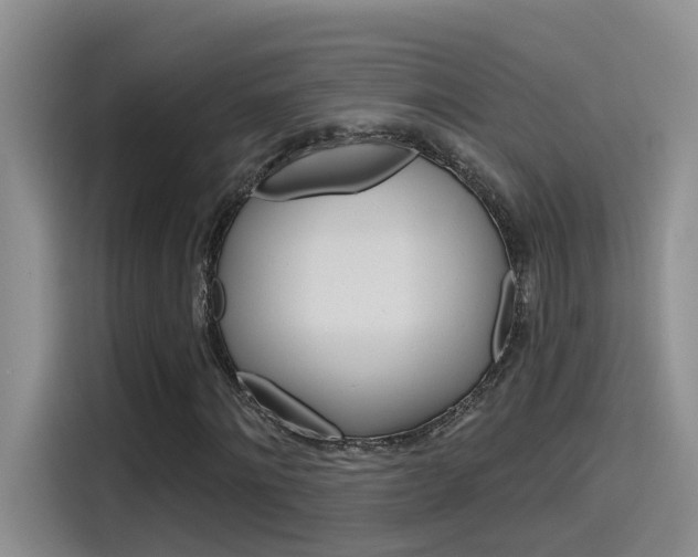 X0000115790868200911131024