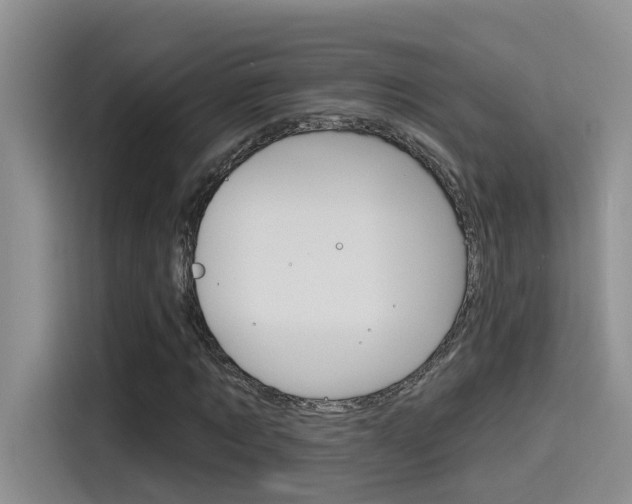 X0000115790869200911131024