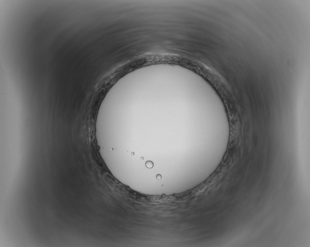 X0000115790870200911131024