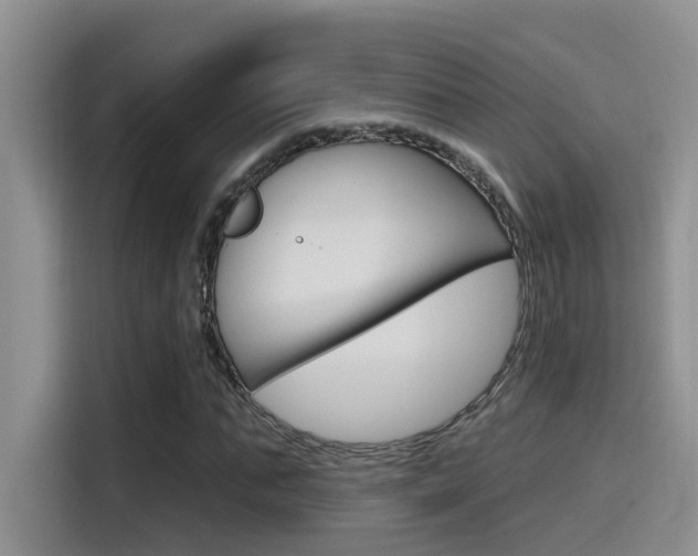 X0000115790871200911131024