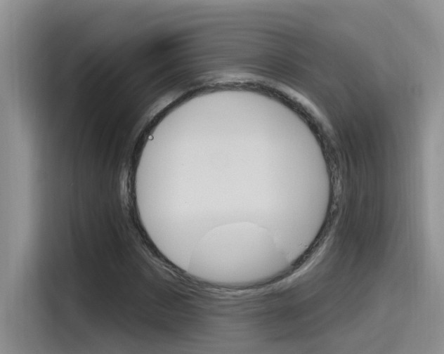 X0000115790873200911131024