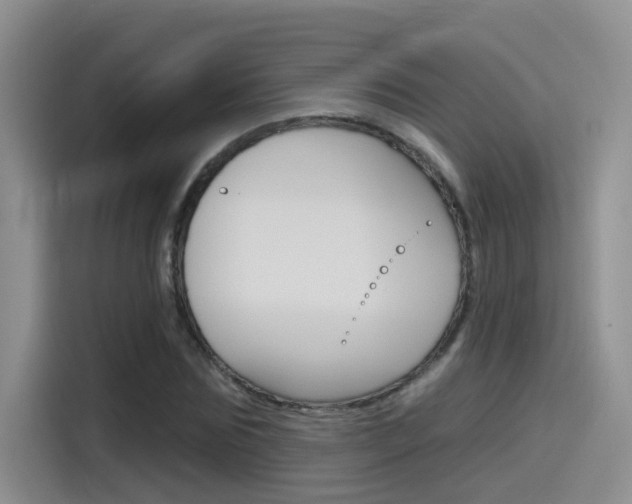 X0000115790875200911131024